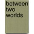 Between Two Worlds
