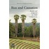 Bias And Causation