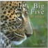 Big Five of Africa