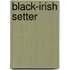 Black-Irish Setter