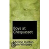 Boys At Chequasset door Adeline Dutton Whitney