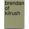 Brendan Of Kilrush door Michael J. Schneider