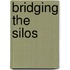 Bridging the Silos