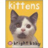 Bright Baby Kitten door Roger Priddy