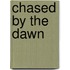 Chased By The Dawn