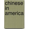 Chinese in America door Alison Behnke