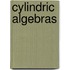 Cylindric Algebras