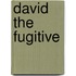 David the Fugitive