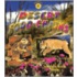 Desert Food Chains