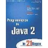 Programmeren in Java 2 in 21 dagen by R. Cadenhead