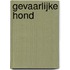 Gevaarlijke hond