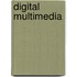 Digital Multimedia