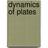 Dynamics Of Plates