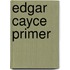 Edgar Cayce Primer