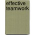 Effective Teamwork