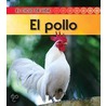 El Pollo (Chicken) door Angela Rovston