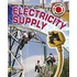 Electricity Supply