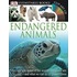 Endangered Animals