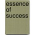 Essence Of Success