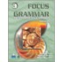 Focus On Grammar 3