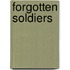 Forgotten Soldiers