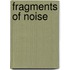 Fragments of Noise
