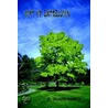 Gift of Expression by M. Duane Rawls