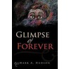 Glimpse Of Forever door Mark A. Hudson