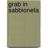 Grab in Sabbioneta door David Honigmann