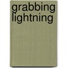 Grabbing Lightning door Richard Leifer