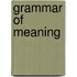 Grammar Of Meaning