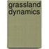 Grassland Dynamics