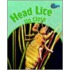 Head Lice Up Close