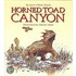 Horned Toad Canyon