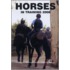 Horses In Training