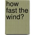 How Fast The Wind?