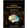 Human Neuroanatomy door James R. Augustine