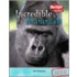 Incredible Mammals