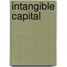 Intangible Capital door John F. Tomer