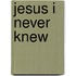 Jesus I Never Knew