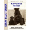 Kerry Blue Terrier by Bardie McLennan