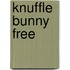 Knuffle Bunny Free