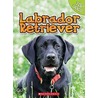 Labrador Retriever door Linda George