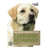 Labrador Retriever door Ann Britton