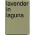 Lavender In Laguna