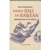 Tussen Bali en Bawean