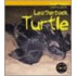 Leatherback Turtle