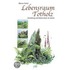 Lebensraum Totholz