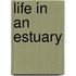 Life In An Estuary