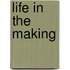 Life In The Making